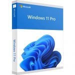 key-Windows-11-Pro-keytotvn