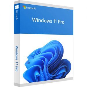 mua Windows 11 Pro